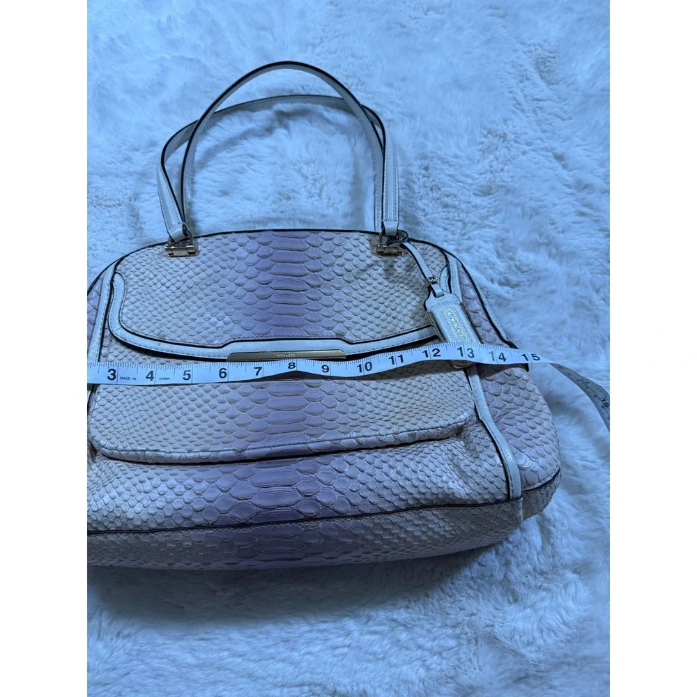 Coach Madison Pinnacle Python Ombre Snakeskin Leather Bag Purse Vintage Chic